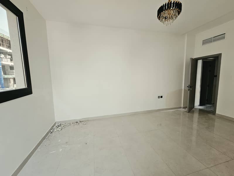 8 516490. jpg