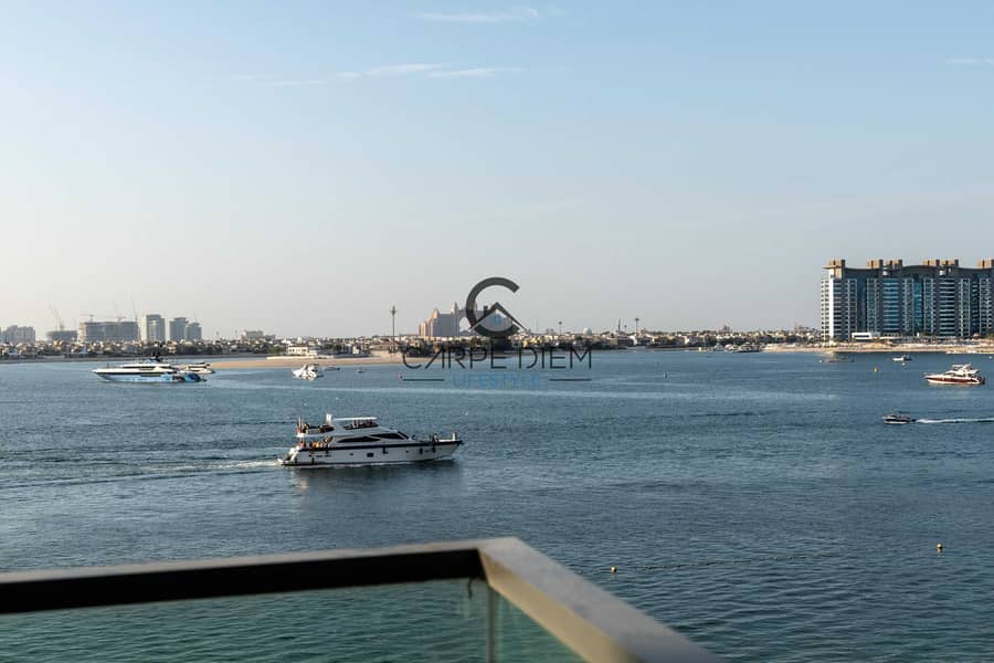 50 DSC09239. jpg