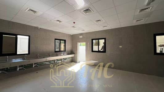 Labour Camp zum zur Miete in Dubai Investments Park (DIP), Dubai - WhatsApp Image 2026-06-19 at 2.33. 30 PM (2). jpeg Labour Camp zum zur Miete in Dubai Investments Park (DIP), Dubai - WhatsApp Image 2026-06-19 at 2.33. 30 PM (2). jpeg