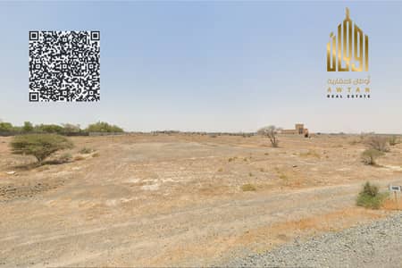 Plot te Koop in Al Manama, Ajman - Kavel in Al Manama, 385000 AED - 15971516