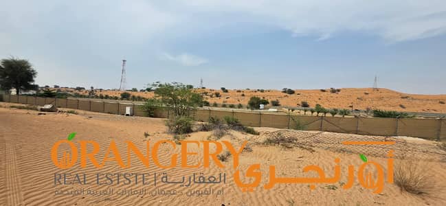 Plot for Sale in Falaj Al Mualla, Umm Al Quwain - WhatsApp Image 2026-04-04 at 3.31. 06 PM. jpeg
