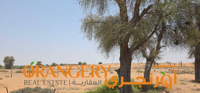 Plot for Sale in Falaj Al Mualla, Umm Al Quwain - 20250525_120404. jpg Plot for Sale in Falaj Al Mualla, Umm Al Quwain - 20250525_120404. jpg