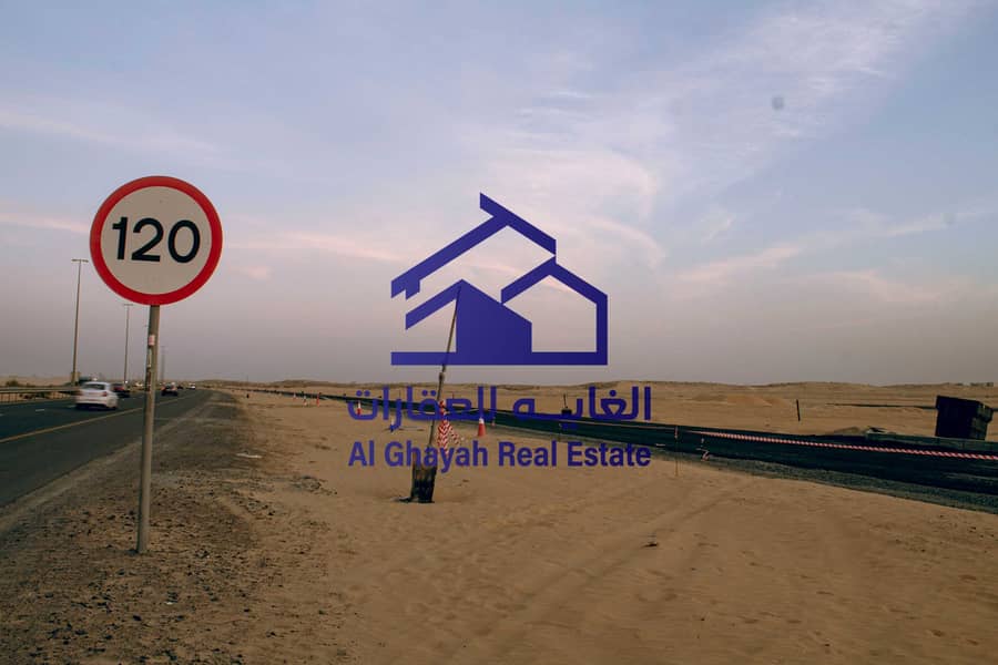6 IMG_9903. jpg