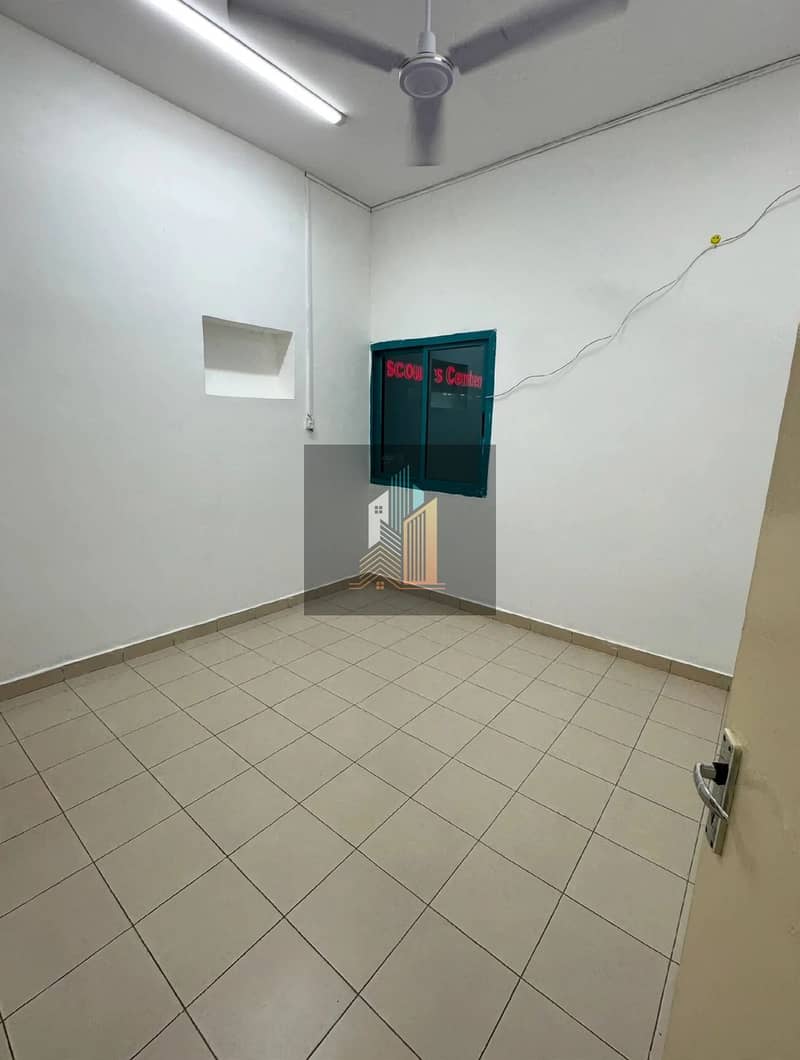 313259. webp 313259. webp