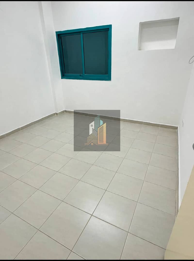 2 313258. webp