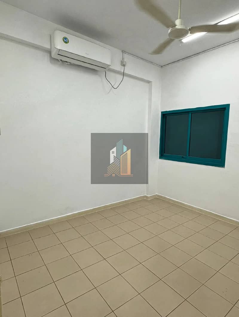 3 313257. webp
