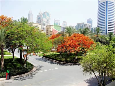 2 Bedroom Flat for Rent in The Greens, Dubai - Chiller Free l Vastu l Renovated l Bright l Vacant 2 Bedroom Flat for Rent in The Greens, Dubai - Chiller Free l Vastu l Renovated l Bright l Vacant