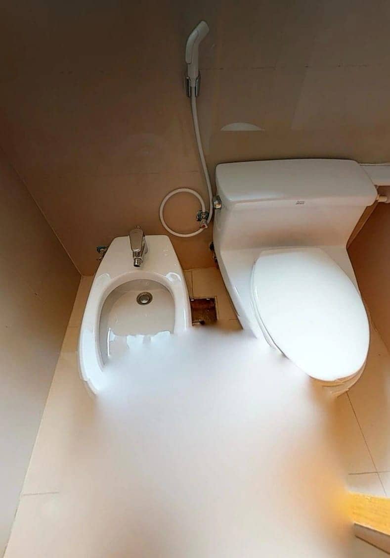 24 46553. jpg