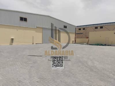 Warehouse for Rent in Umm Al Thuoob, Umm Al Quwain - WhatsApp Image 2026-06-03 at 10.54. 44 AM (3). jpeg Warehouse for Rent in Umm Al Thuoob, Umm Al Quwain - WhatsApp Image 2026-06-03 at 10.54. 44 AM (3). jpeg