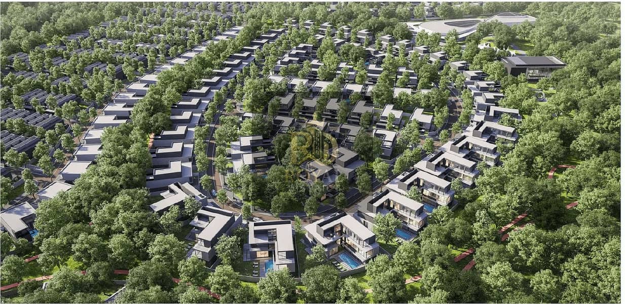 11 IMG_0155. jpeg