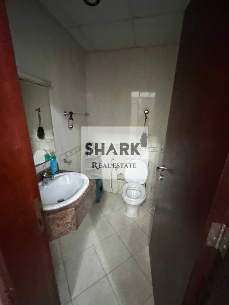 7 IMG_0741. jpeg