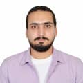 Diaa Abdelsalam Diaa Abdelsalam