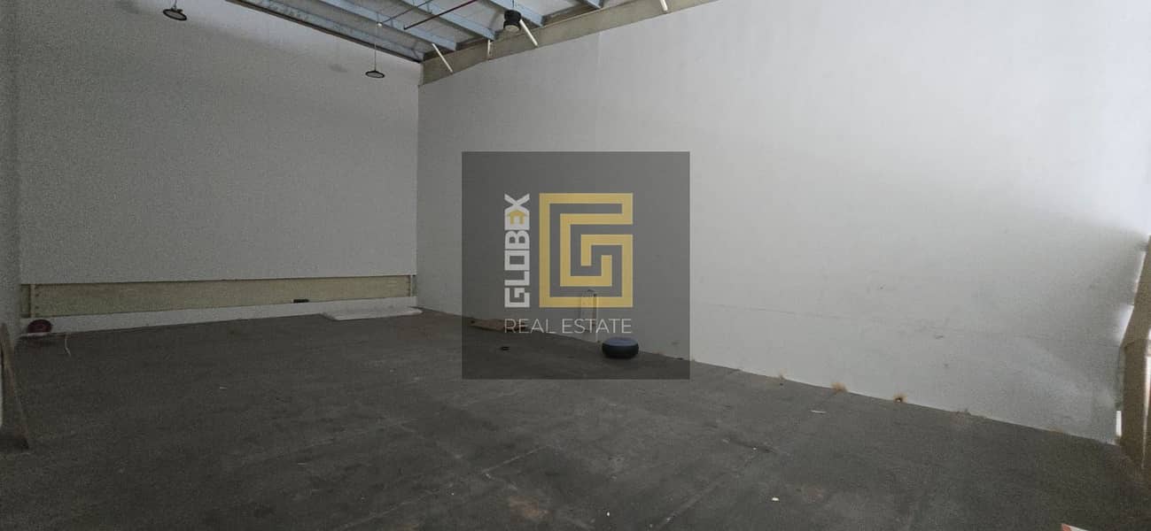 5 61551. jpg