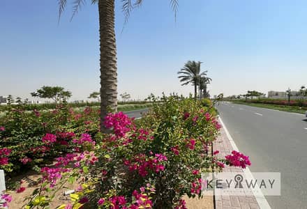 ارض سكنية للبيع في جبل علي، دبي - ارض سكنية في تلال جبل علي،جبل علي 3050000 درهم - 15993319 ارض سكنية للبيع في جبل علي، دبي - ارض سكنية في تلال جبل علي،جبل علي 3050000 درهم - 15993319