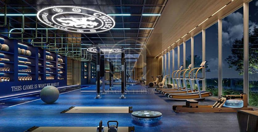 20 gym. png