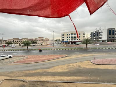 فلیٹ 2 غرفة نوم للايجار في الجادة، الشارقة - 1000294243. jpg فلیٹ 2 غرفة نوم للايجار في الجادة، الشارقة - 1000294243. jpg