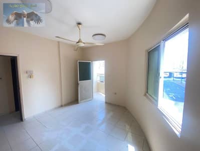 2 Camere Appartamento in Affitto a Al Nuaimiya, Ajman - WhatsApp Image 2026-07-29 at 12.06. 57 PM. jpeg 2 Camere Appartamento in Affitto a Al Nuaimiya, Ajman - WhatsApp Image 2026-07-29 at 12.06. 57 PM. jpeg