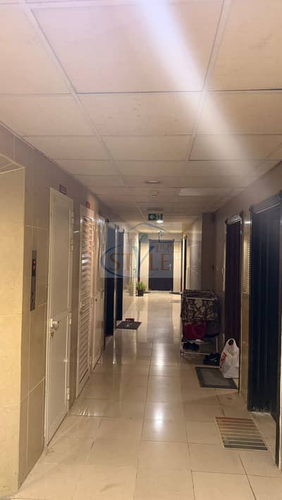 Building for Sale in Muwaileh Commercial, Sharjah - WhatsApp Image 2026-04-19 at 2.58. 58 PM (1). jpeg