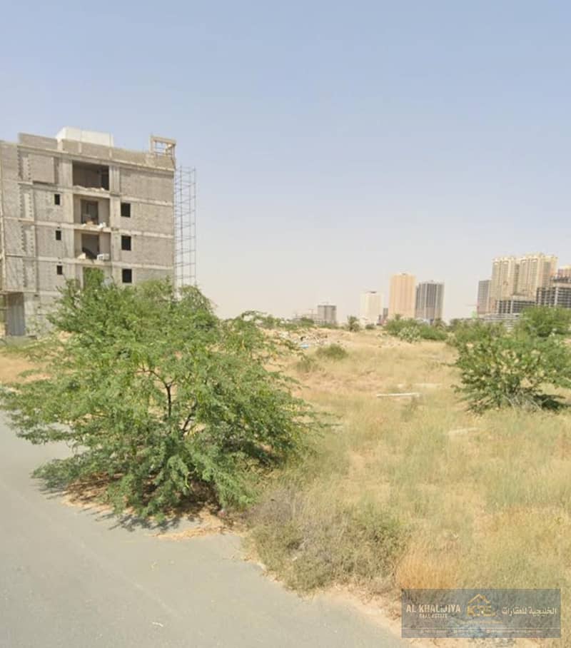 3 ALIA5. jpg