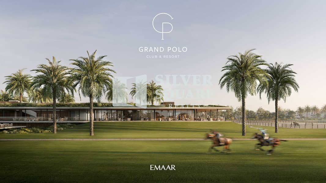 4 GRAND_POLO_IMAGE2. jpg