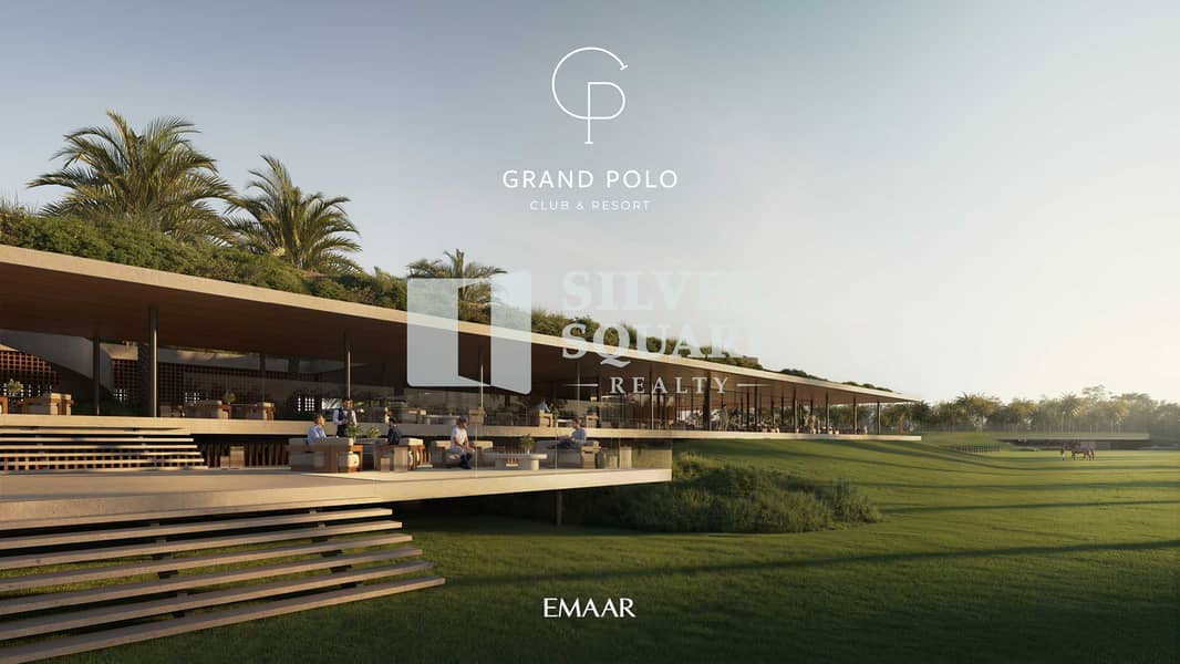 5 GRAND_POLO_IMAGE3. jpg