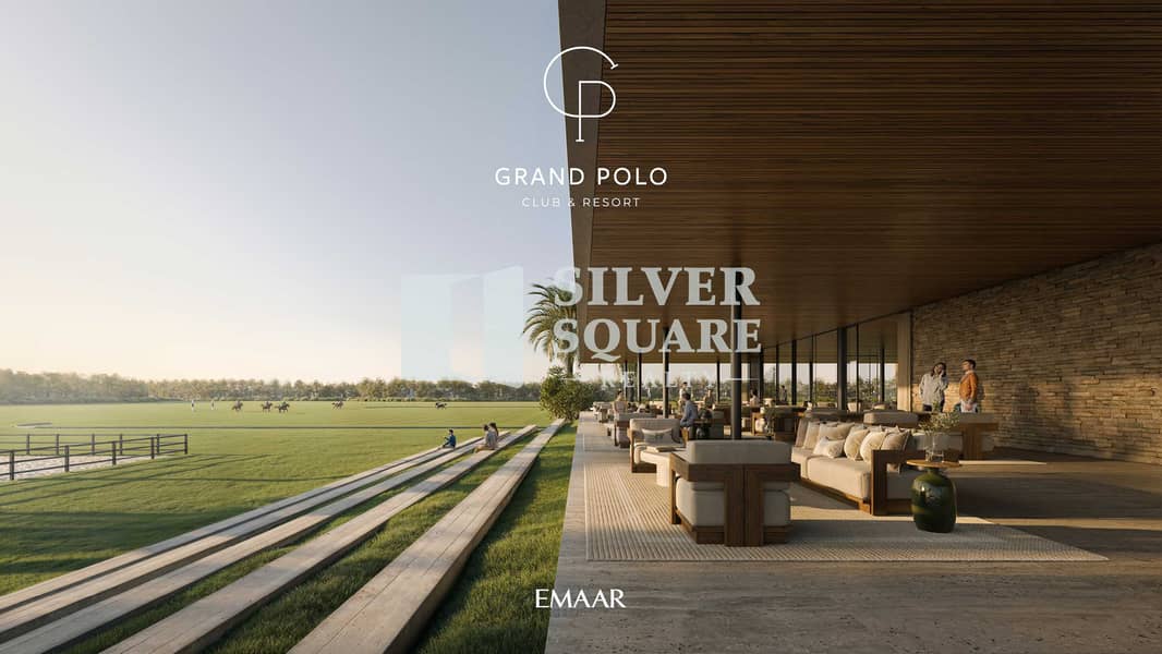 18 GRAND_POLO_IMAGE5. jpg