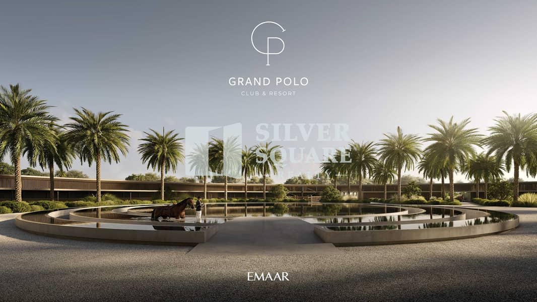 20 GRAND_POLO_IMAGE21. jpg