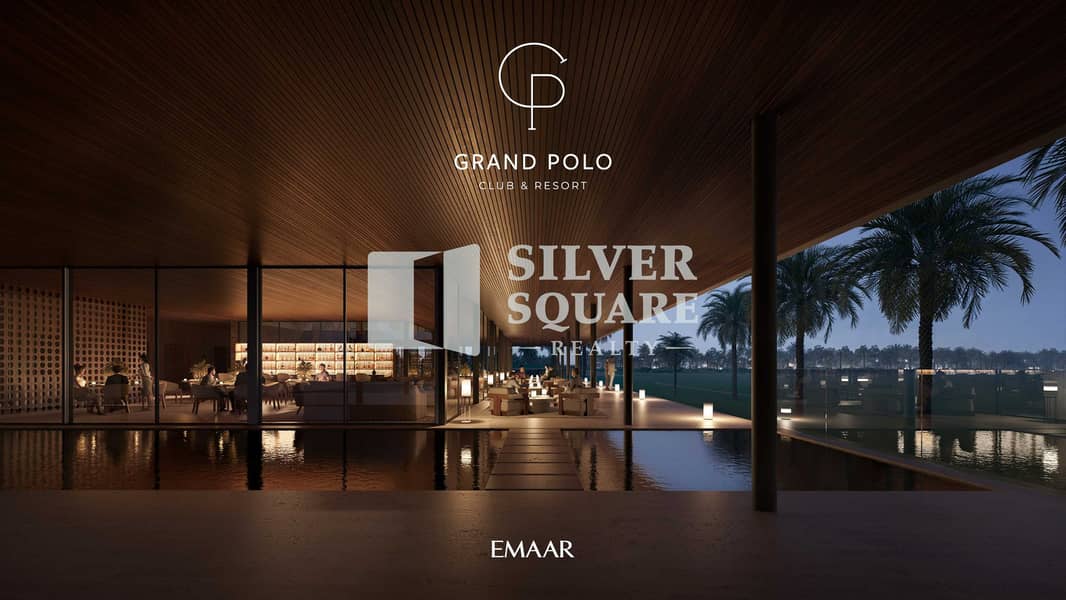 28 GRAND_POLO_IMAGE. jpg