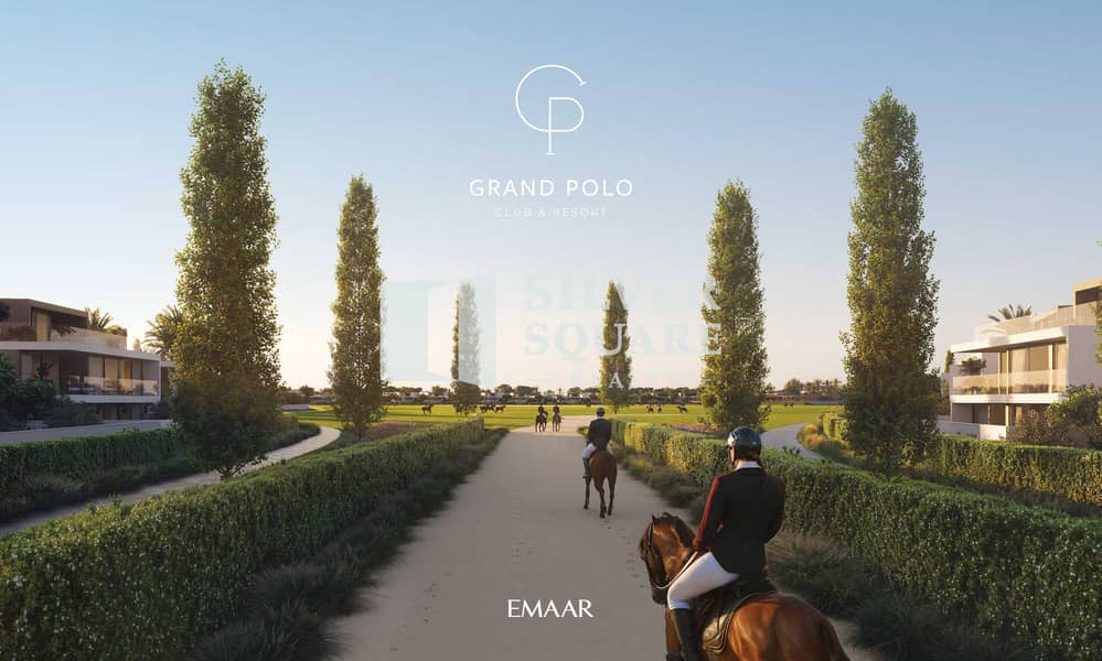 30 GRAND_POLO_IMAGE23. jpg