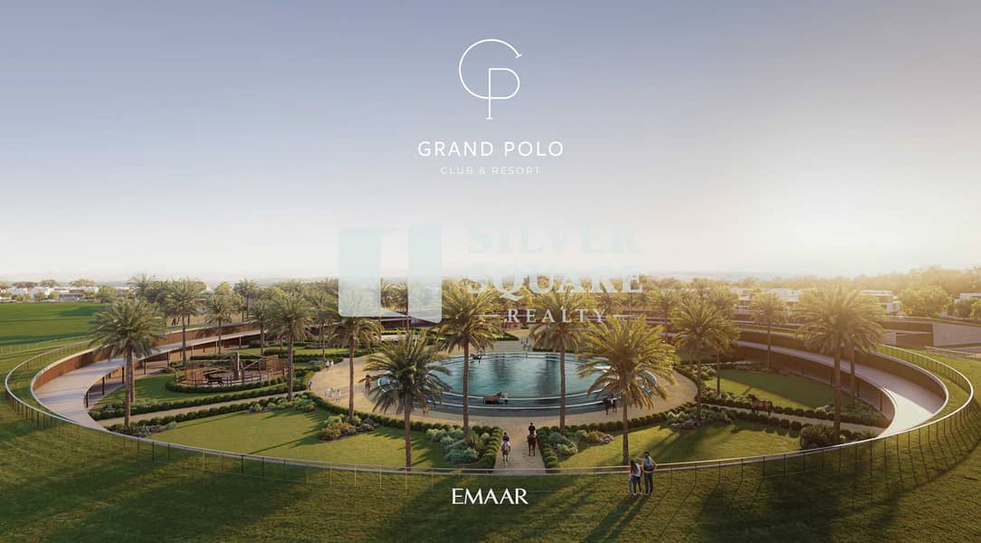 33 GRAND_POLO_IMAGE24. jpg