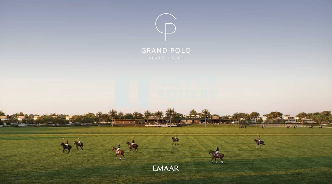 34 GRAND_POLO_IMAGE25. jpg