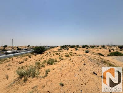 ارض صناعية للبيع في الحمرية، الشارقة - IMG_8254. JPG ارض صناعية للبيع في الحمرية، الشارقة - IMG_8254. JPG