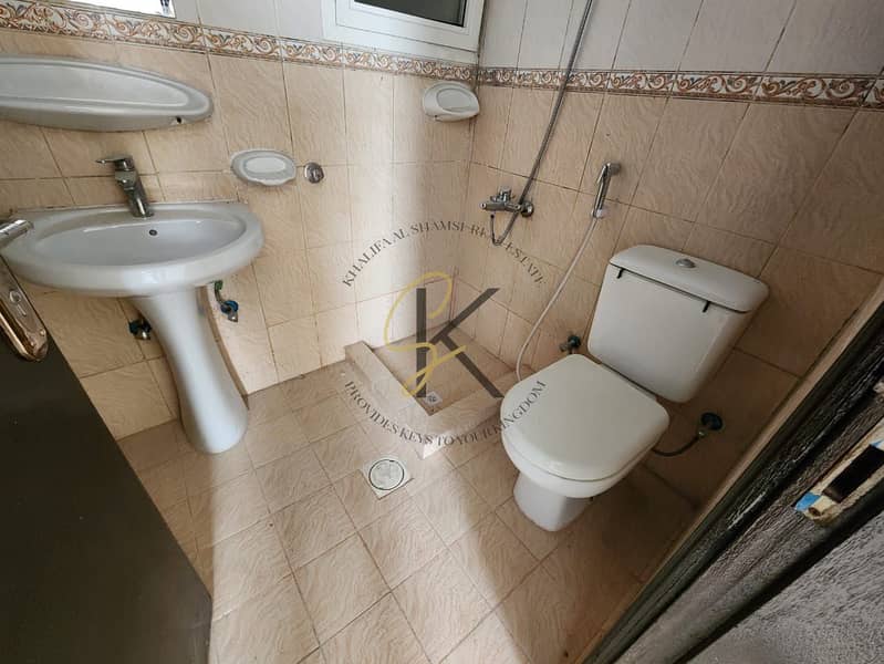 4 4497. jpg