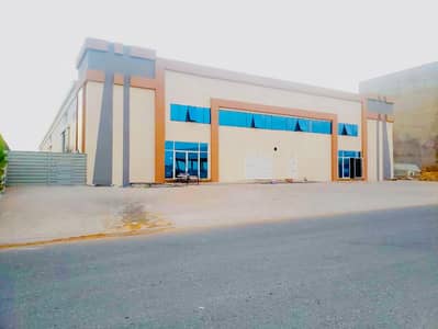 Warehouse for Sale in Umm Al Thuoob, Umm Al Quwain - WhatsApp Image 2026-06-19 at 9.23. 02 PM (1). jpeg Warehouse for Sale in Umm Al Thuoob, Umm Al Quwain - WhatsApp Image 2026-06-19 at 9.23. 02 PM (1). jpeg