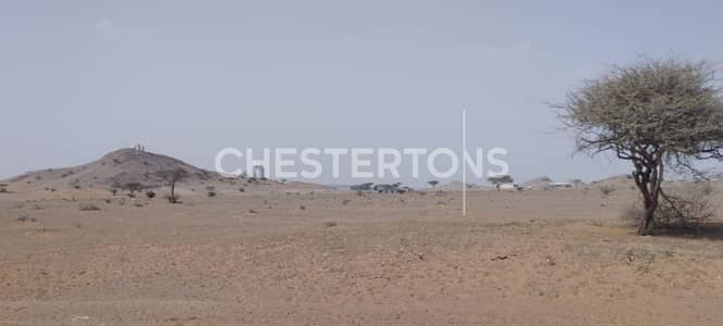 Plot para en Venta en Hamriyah Free Zone, Sharjah - Parcela en Hamriyah Free Zone, 650000 AED - 16011488