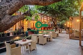 12 dining_outlets_1768289994. jpg