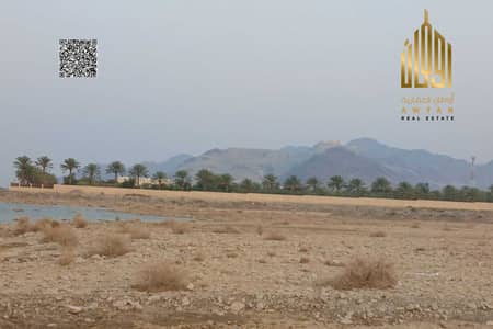 Plot de  à à vendre à Masfout, Ajman - Terrain à Masfout, 260000 AED - 16020846
