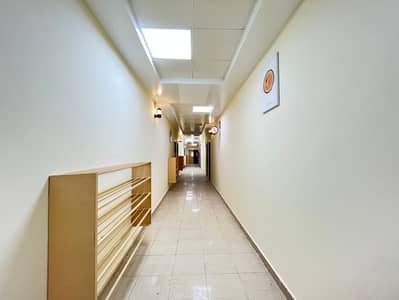 Labour Camp for Rent in Musaffah, Abu Dhabi - 3. jpeg Labour Camp for Rent in Musaffah, Abu Dhabi - 3. jpeg