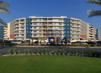 Studio te Huur in Al Reef, Abu Dhabi - WhatsApp Image 2026-03-04 at 2.11. 08 PM (1). jpeg