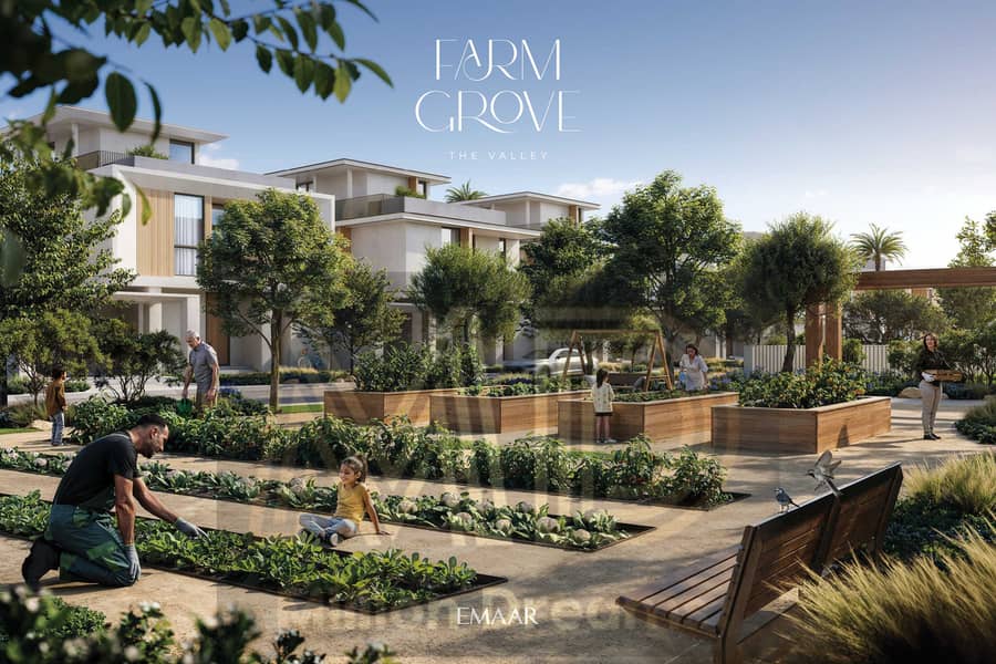11 FARMGROVE_TV_RENDER10. jpg