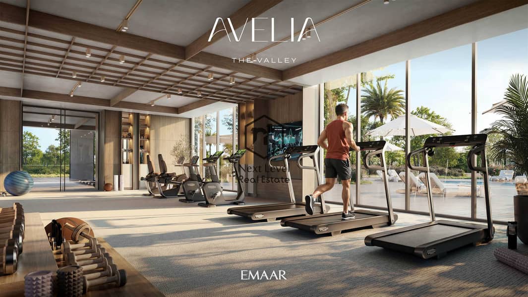 6 AVELIA_TV_BR17. jpg