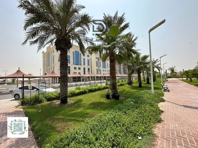 2 image (41). png