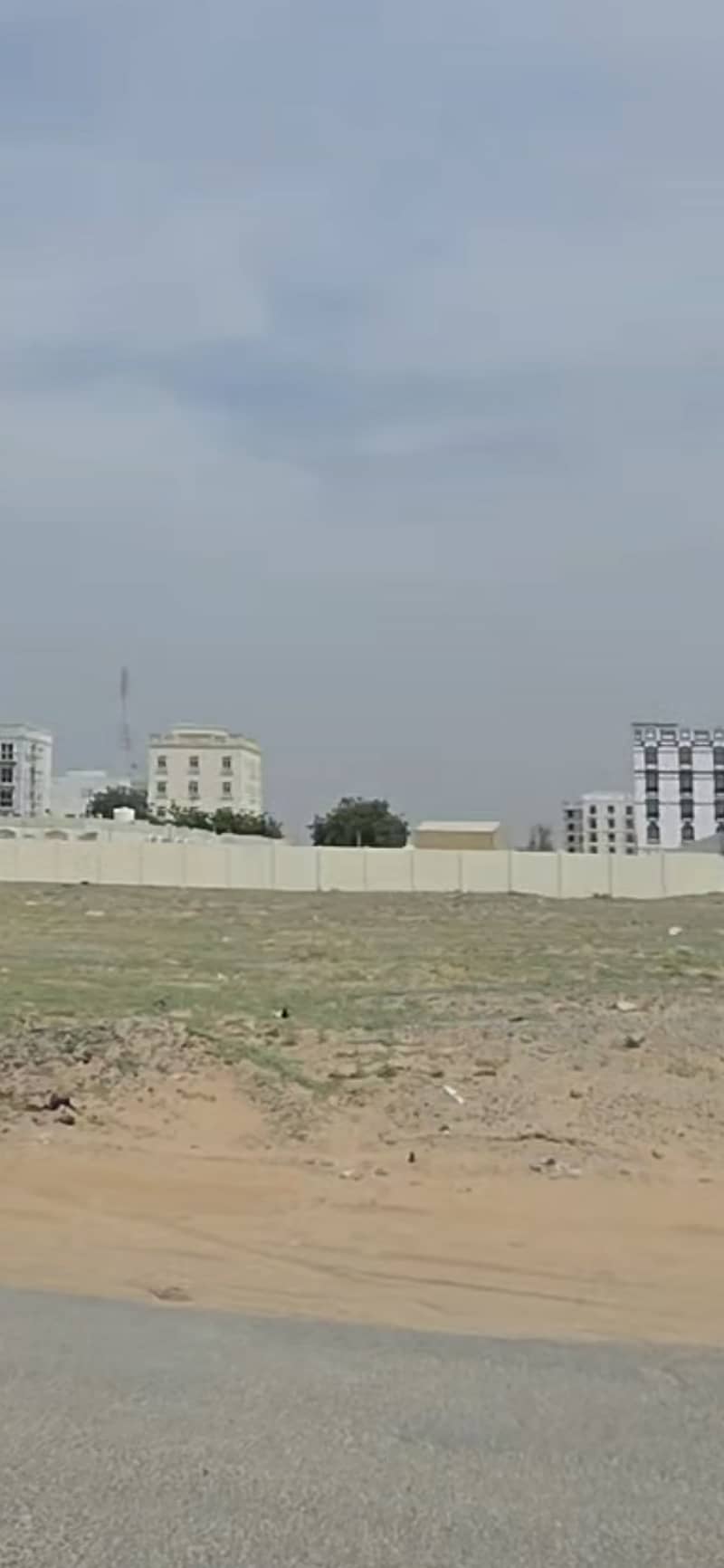2 362065. jpg