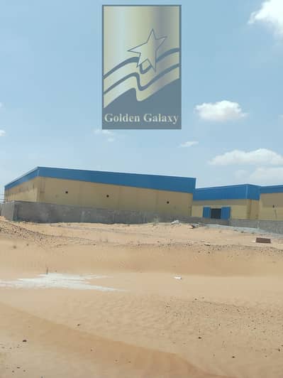 Plot for Sale in Al Hamriyah, Sharjah - WhatsApp Image 2026-04-02 at 1.05. 22 PM (1). jpeg