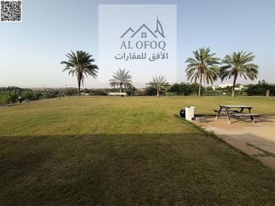 5 Slaapkamers Villa te Koop in Kabir, Umm Al Quwain - WhatsApp Image 2026-04-22 at 12.23. 22 PM. jpeg