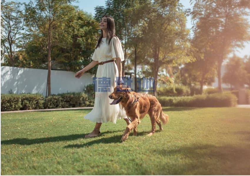 8 Image_20260802132139_220_17. jpg