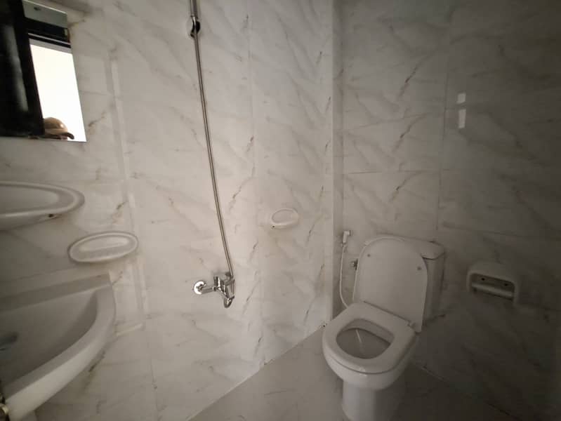 11 83393. jpg