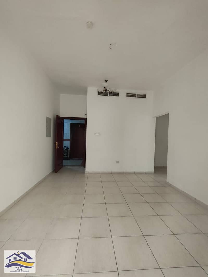 4 4719. jpg