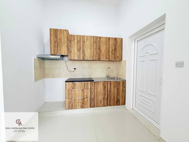 12 IMG_6308. jpg