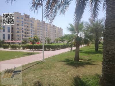 Studio for Sale in Al Yasmeen, Ajman - WhatsApp Image 2026-04-25 at 2.37. 38 AM - Copy - Copy. jpeg Studio for Sale in Al Yasmeen, Ajman - WhatsApp Image 2026-04-25 at 2.37. 38 AM - Copy - Copy. jpeg